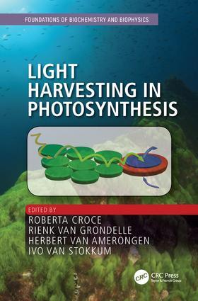Croce / van Grondelle / van Amerongen |  Light Harvesting in Photosynthesis | Buch |  Sack Fachmedien