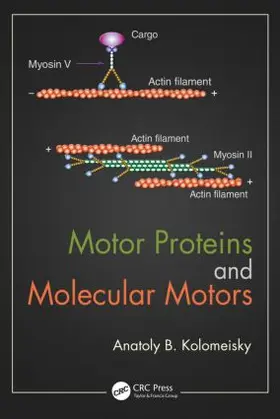 Kolomeisky |  Motor Proteins and Molecular Motors | Buch |  Sack Fachmedien