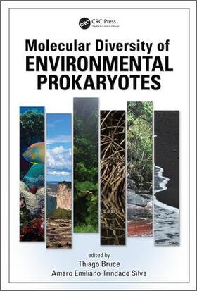 Rodrigues / Silva |  Molecular Diversity of Environmental Prokaryotes | Buch |  Sack Fachmedien
