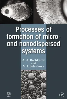 Bochkarev / Polyakova |  Processes of Formation of Micro -and Nanodispersed Systems | Buch |  Sack Fachmedien