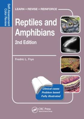 Frye |  Reptiles and Amphibians | Buch |  Sack Fachmedien