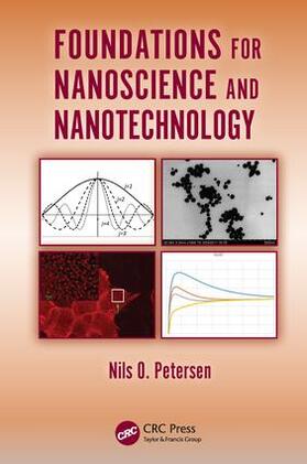 Petersen |  Foundations for Nanoscience and Nanotechnology | Buch |  Sack Fachmedien