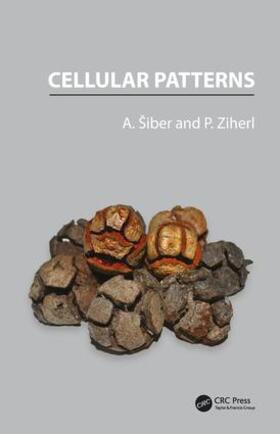 Siber / Ziherl |  Cellular Patterns | Buch |  Sack Fachmedien
