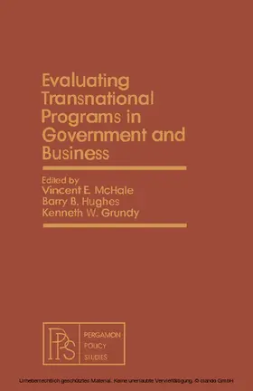 McHale / Hughes / Grundy |  Evaluating Transnational Programs in Government and Business | eBook | Sack Fachmedien