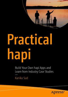 Sud |  Practical hapi | Buch |  Sack Fachmedien