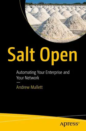 Mallett |  Salt Open | Buch |  Sack Fachmedien