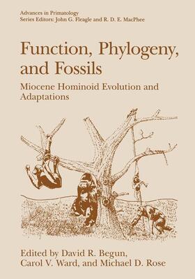 Begun / Rose / Ward | Function, Phylogeny, and Fossils | Buch | 978-1-4899-0077-7 | sack.de