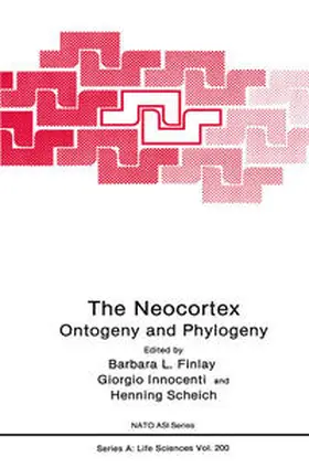 Finlay / Innocenti / Scheich |  The Neocortex | eBook | Sack Fachmedien