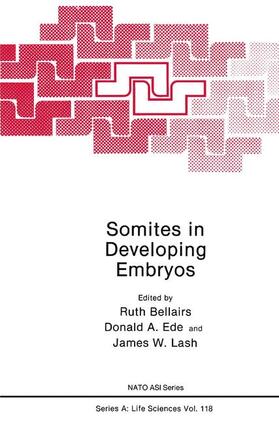 Bellairs |  Somites in Developing Embryos | Buch |  Sack Fachmedien