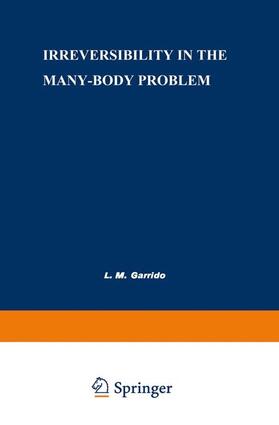 Garrido |  Irreversibility in the Many-Body Problem | Buch |  Sack Fachmedien