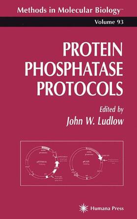 Ludlow |  Protein Phosphatase Protocols | Buch |  Sack Fachmedien