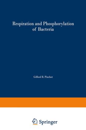 Gel man |  Respiration and Phosphorylation of Bacteria | Buch |  Sack Fachmedien