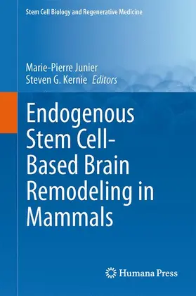 Kernie / Junier |  Endogenous Stem Cell-Based Brain Remodeling in Mammals | Buch |  Sack Fachmedien