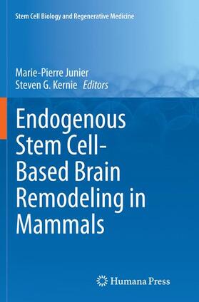 Kernie / Junier |  Endogenous Stem Cell-Based Brain Remodeling in Mammals | Buch |  Sack Fachmedien