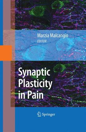 Malcangio |  Synaptic Plasticity in Pain | Buch |  Sack Fachmedien