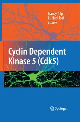 Tsai / Ip |  Cyclin Dependent Kinase 5 (Cdk5) | Buch |  Sack Fachmedien