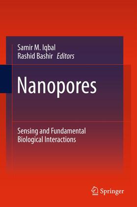 Bashir / Iqbal |  Nanopores | Buch |  Sack Fachmedien
