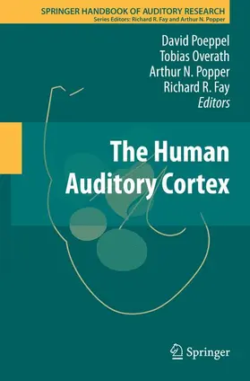 Poeppel / Fay / Overath |  The Human Auditory Cortex | Buch |  Sack Fachmedien