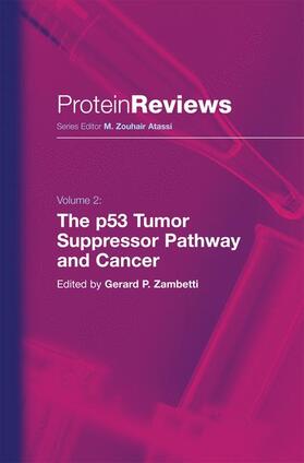 Zambetti |  The p53 Tumor Suppressor Pathway and Cancer | Buch |  Sack Fachmedien