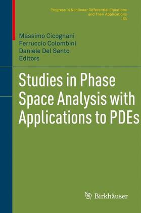 Cicognani / Del Santo / Colombini |  Studies in Phase Space Analysis with Applications to PDEs | Buch |  Sack Fachmedien