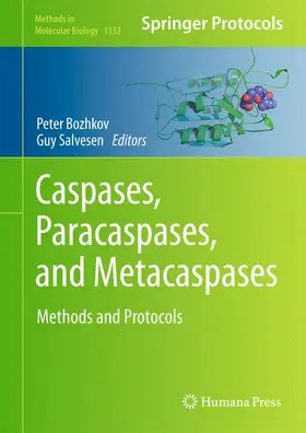 Salvesen / V. Bozhkov |  Caspases,Paracaspases, and Metacaspases | Buch |  Sack Fachmedien