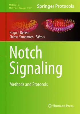 Yamamoto / Bellen |  Notch Signaling | Buch |  Sack Fachmedien