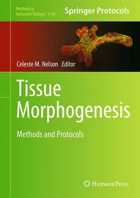 Nelson |  Tissue Morphogenesis | Buch |  Sack Fachmedien