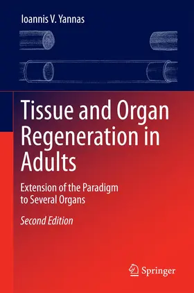 Yannas |  Tissue and Organ Regeneration in Adults | Buch |  Sack Fachmedien