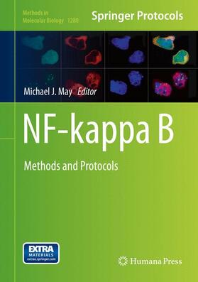 May |  NF-kappa B | Buch |  Sack Fachmedien