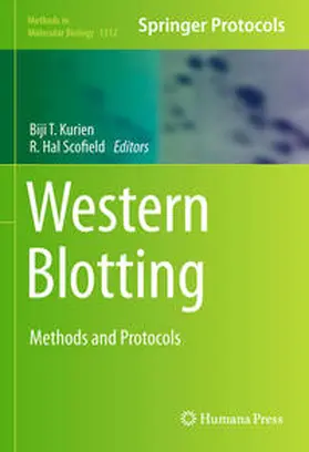 Kurien / Scofield | Western Blotting | E-Book | sack.de