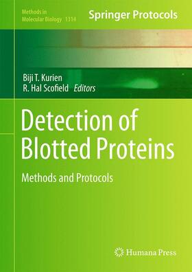 Scofield / Kurien |  Detection of Blotted Proteins | Buch |  Sack Fachmedien