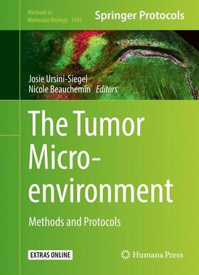 Beauchemin / Ursini-Siegel |  The Tumor Microenvironment | Buch |  Sack Fachmedien