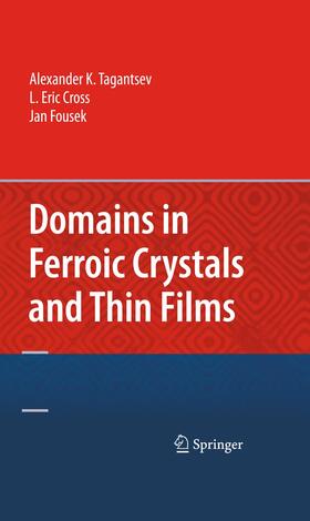 Tagantsev / Fousek / Cross |  Domains in Ferroic Crystals and Thin Films | Buch |  Sack Fachmedien