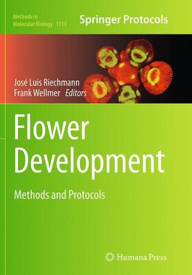 Wellmer / Riechmann |  Flower Development | Buch |  Sack Fachmedien