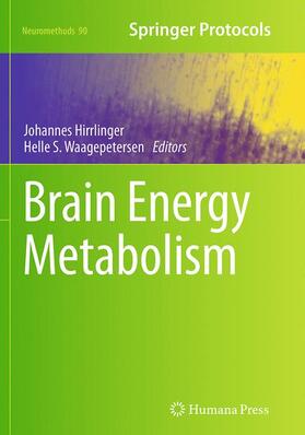 Waagepetersen / Hirrlinger | Brain Energy Metabolism | Buch | 978-1-4939-4466-8 | sack.de