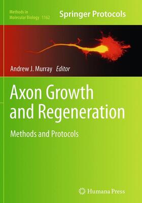 Murray |  Axon Growth and Regeneration | Buch |  Sack Fachmedien