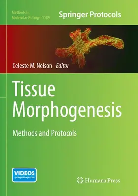 Nelson |  Tissue Morphogenesis | Buch |  Sack Fachmedien