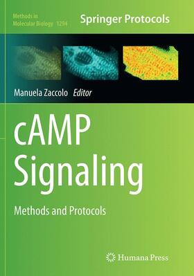 Zaccolo |  cAMP Signaling | Buch |  Sack Fachmedien