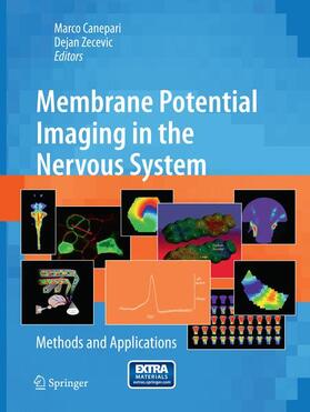 Zecevic / Canepari |  Membrane Potential Imaging in the Nervous System | Buch |  Sack Fachmedien
