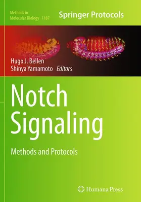 Yamamoto / Bellen |  Notch Signaling | Buch |  Sack Fachmedien