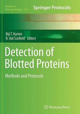 Scofield / Kurien |  Detection of Blotted Proteins | Buch |  Sack Fachmedien