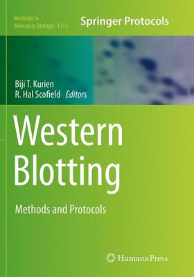 Scofield / Kurien |  Western Blotting | Buch |  Sack Fachmedien