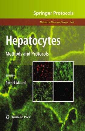 Maurel |  Hepatocytes | Buch |  Sack Fachmedien