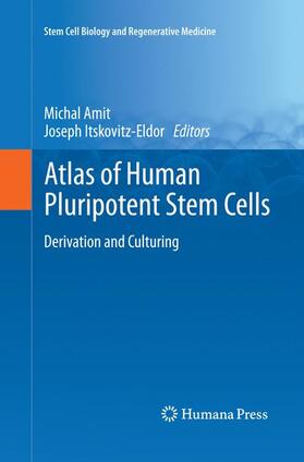 Itskovitz-Eldor / Amit |  Atlas of Human Pluripotent Stem Cells | Buch |  Sack Fachmedien