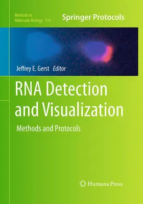 Gerst |  RNA Detection and Visualization | Buch |  Sack Fachmedien