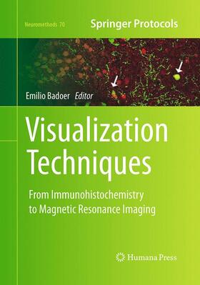 Badoer |  Visualization Techniques | Buch |  Sack Fachmedien