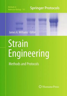 Williams |  Strain Engineering | Buch |  Sack Fachmedien