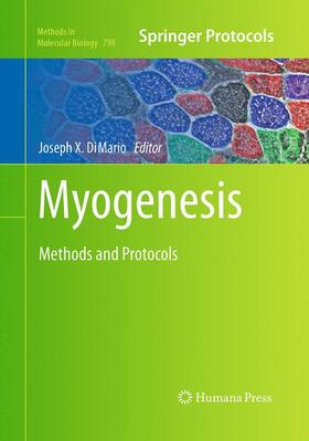 DiMario |  Myogenesis | Buch |  Sack Fachmedien