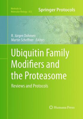 Scheffner / Dohmen |  Ubiquitin Family Modifiers and the Proteasome | Buch |  Sack Fachmedien