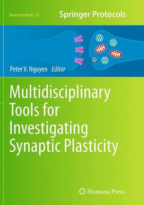 Nguyen |  Multidisciplinary Tools for Investigating Synaptic Plasticity | Buch |  Sack Fachmedien